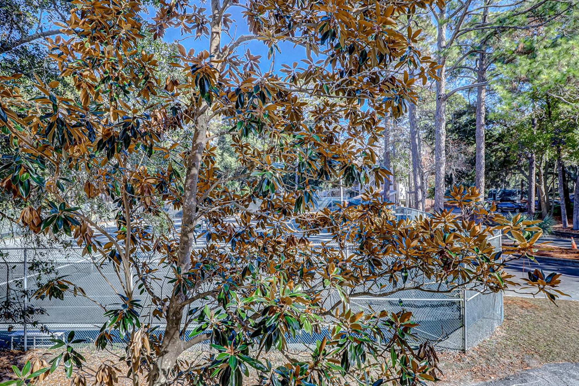 Vila Fiddlers Cove Hilton Head Island Pokoj fotografie